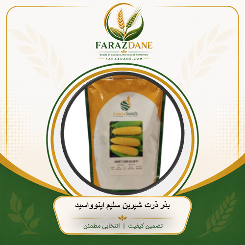 بذر ذرت شیرین سلیم اینوواسید